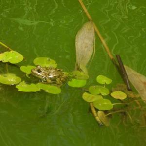 Ohlédnutí: Expedice Delta Dunaje 2007