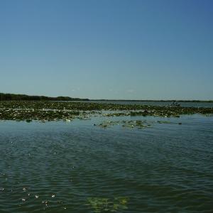 Ohlédnutí: Expedice Delta Dunaje 2007