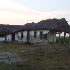 Ohlédnutí: Expedice Delta Dunaje 2007