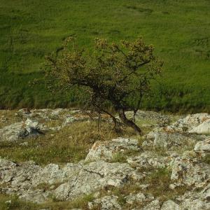 Ohlédnutí: Expedice Delta Dunaje 2007