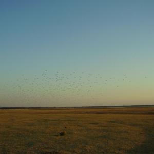 Ohlédnutí: Expedice Delta Dunaje 2007