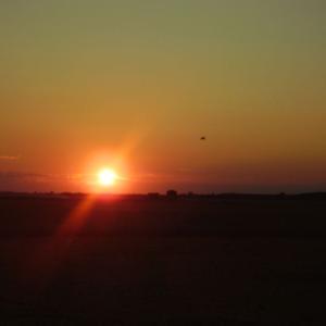 Ohlédnutí: Expedice Delta Dunaje 2007