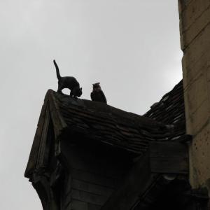Výměnný pobyt v Tonnerre