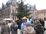 Náhled z galerie