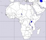 Afrika 2008