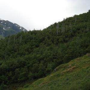 Výměnný pobyt Česko-Norsko