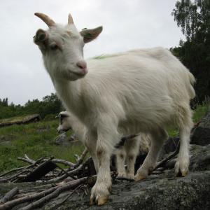 Výměnný pobyt Česko-Norsko