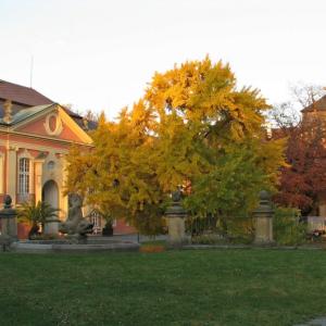 Zahajovací konference projektu WAI na dobříšském gymnáziu