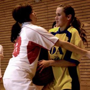 Středoškolské hry v basketbale