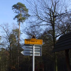 Krčský les