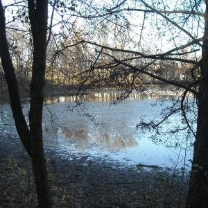 Krčský les