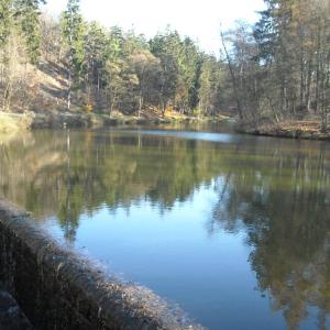 Krčský les