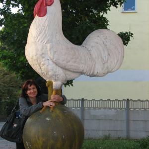 Zahajovací konference projektu WAI v Duisburgu
