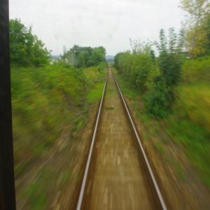 Sekunda a kvarta na výpravě za kůrovcem