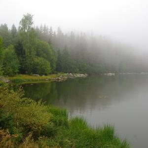 Sekunda a kvarta na výpravě za kůrovcem