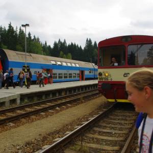 Sekunda a kvarta na výpravě za kůrovcem