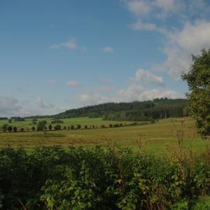Sekunda a kvarta na výpravě za kůrovcem