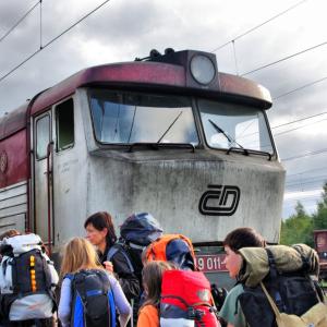 Sekunda a kvarta na výpravě za kůrovcem