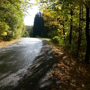 Kvarta na ekokurzu