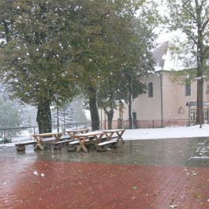 Kvarta na ekokurzu