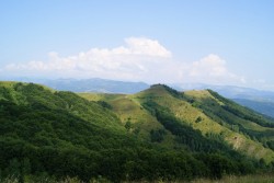Bihor
