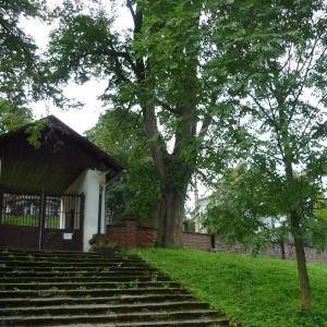 Ekokurz Horní Maršov
