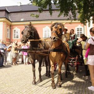 Svatováclavské slavnosti