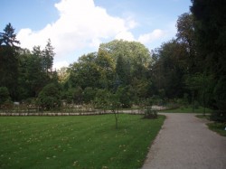 Náhled z galerie