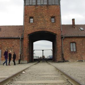 Polská mise