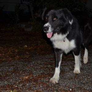 Francie - východní Pyreneje a Katalánsko