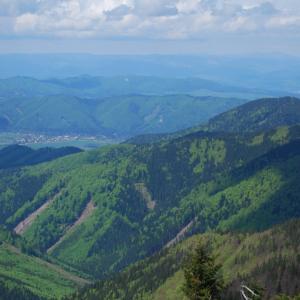 Malá Fatra, Lúčanská Fatra, Martinské hole