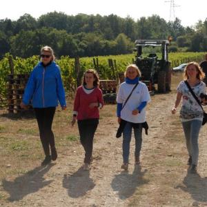 Jumellage Dobříš-Tonnerre, Burgundsko, Francie, září 2012