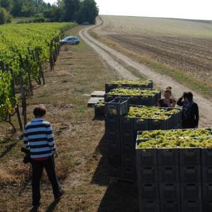 Jumellage Dobříš-Tonnerre, Burgundsko, Francie, září 2012