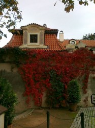 Botanická Praha
