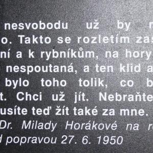 Historická exkurze, kvarta, Památník Vojna u Příbrami