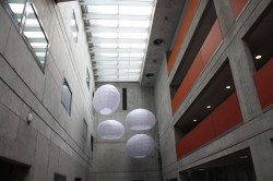 Náhled z galerie