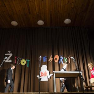 Akademie 2013
