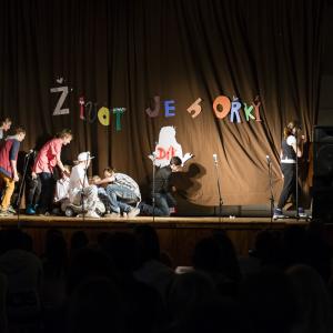 Akademie 2013