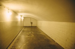 Náhled z galerie