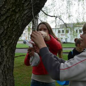 Oslava Dne Země 2014 na hřišti B. Němcové