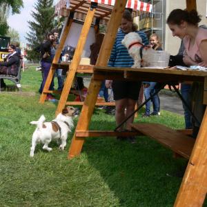 Oslava Dne Země 2014 na hřišti B. Němcové