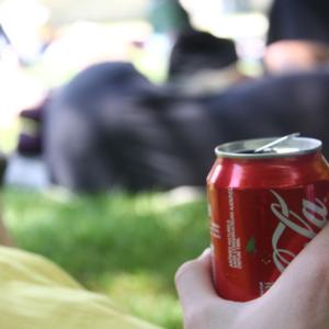 Videa a fotografie z Tonnerre a Paříže