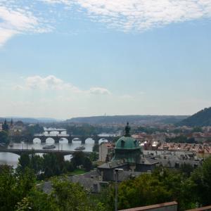 Norové na Vltavě