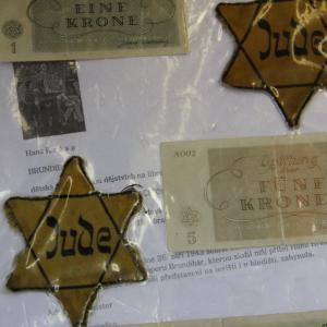 Beseda o holocaustu s paní Martou Kottovou
