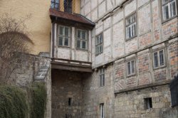 Náhled z galerie