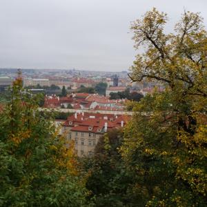 Týden s německými studenty