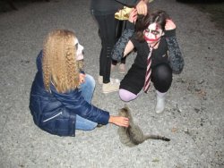 Halloweenská párty