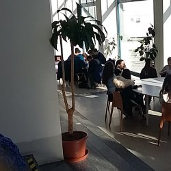 Náhled z galerie