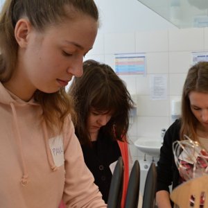 Výměnný pobyt v Quedlinburgu
