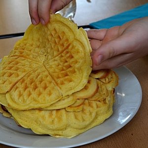 Výměnný pobyt v Quedlinburgu